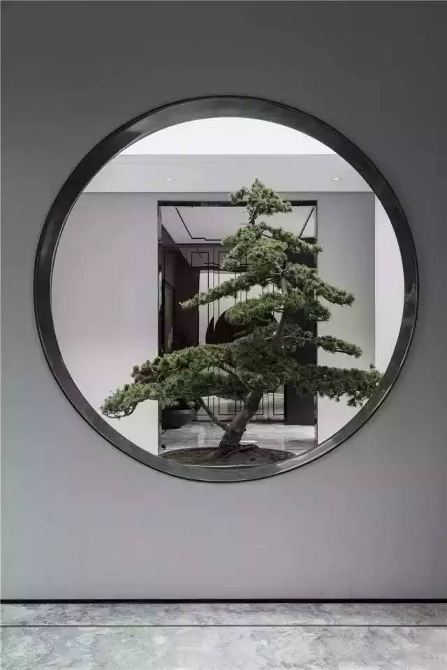 ʯ